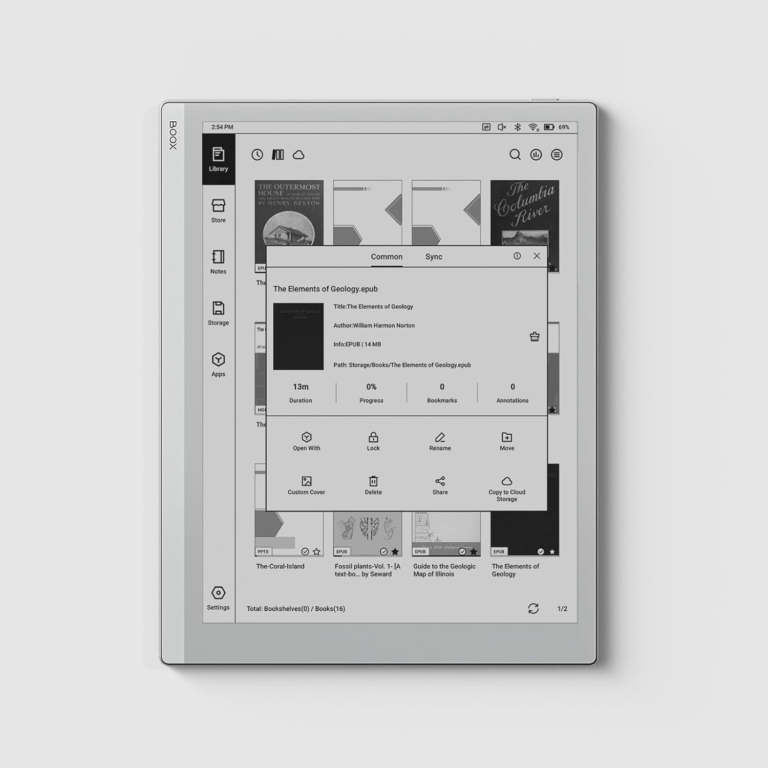 BOOX Liseuse Go 10.3 10.3 pouces 64Go E-Ink Android Stylet – Image 6